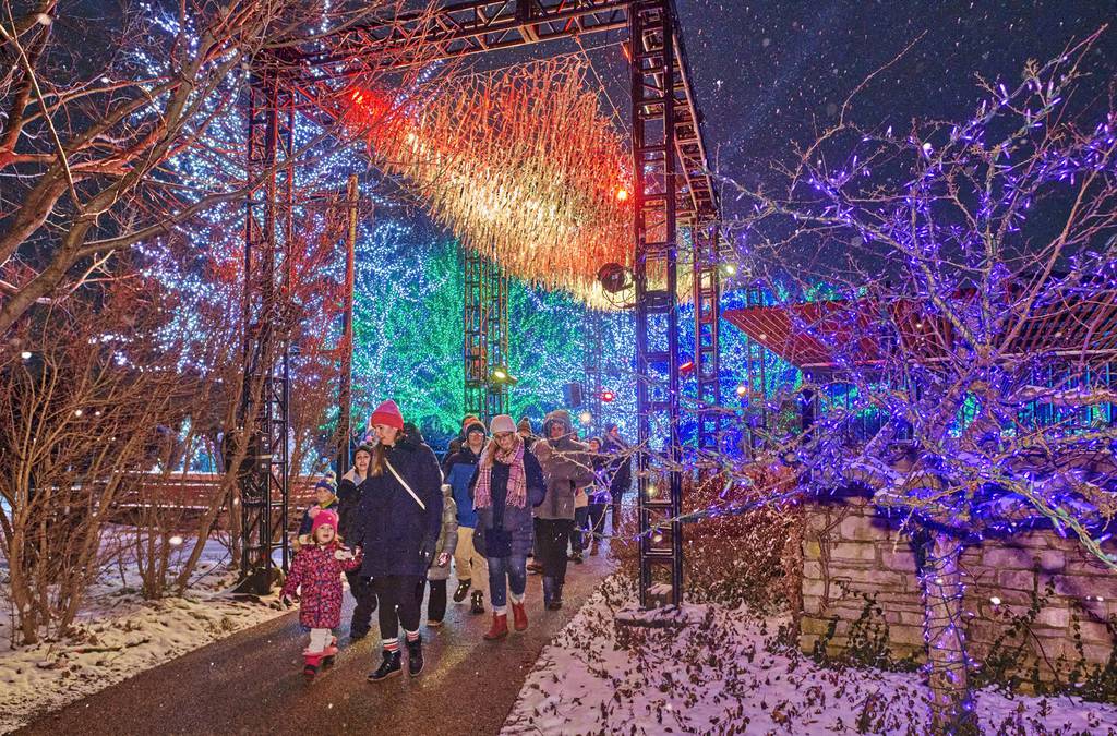 Morton Arboretum in Lisle lights up with its annual Illumination: Tree Lights event.