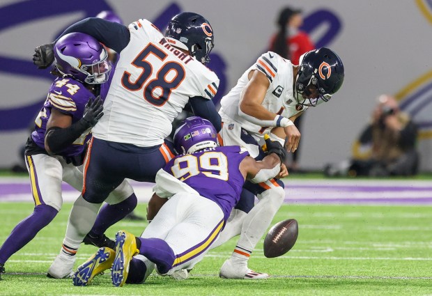 Minnesota Vikings linebacker Danielle Hunter (99) forces Chicago Bears quarterback Justin Fields (1) into a fumble that leads to a turnover in the fourth quarter at US Bank Stadium in Minneapolis.  November 27, 2023. (Eileen T. Meslar/Chicago Tribune)