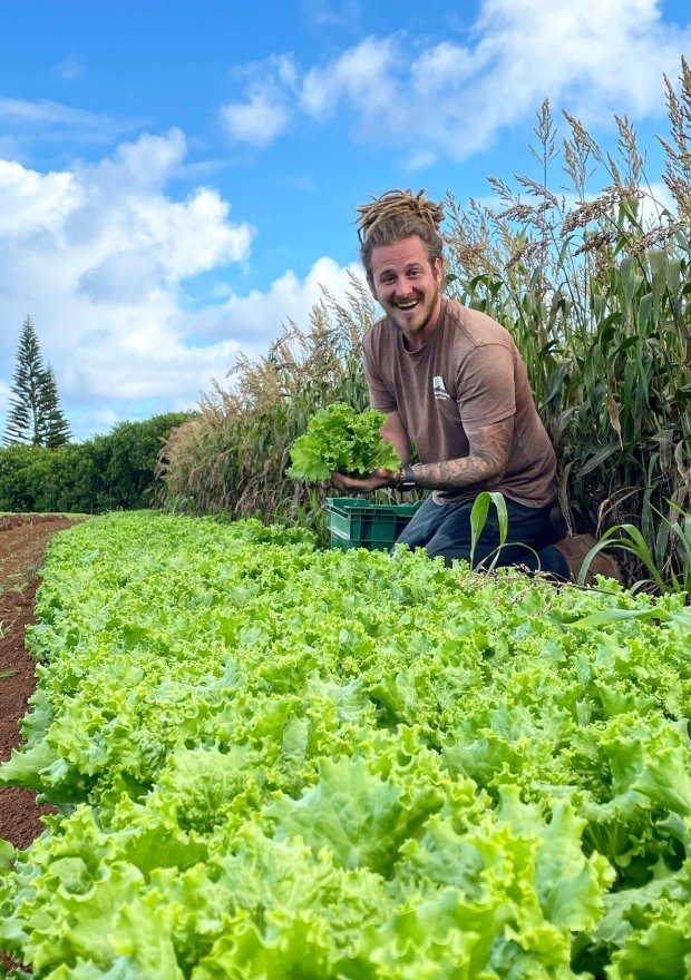 Zach Laidlaw, a Burlington native and Elgin Community College graduate, harvests produce grown at Hua Momona Farms on Maui.  Laidlaw, a trained chef, competes "Next Level Kitchen" It airs on Fox TV and Hulu.- Original Credit: