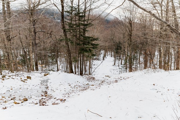 John Sherburne Ski Trail in New Hampshire in early January 2024, after December rainstorms did not leave enough snow for skiing.  The road is used as an ascent route from Mount Washington's famous Tuckerman Pass.  It was cut down by the Civilian Conservation Corps in 1934.  (Josh Laskin)