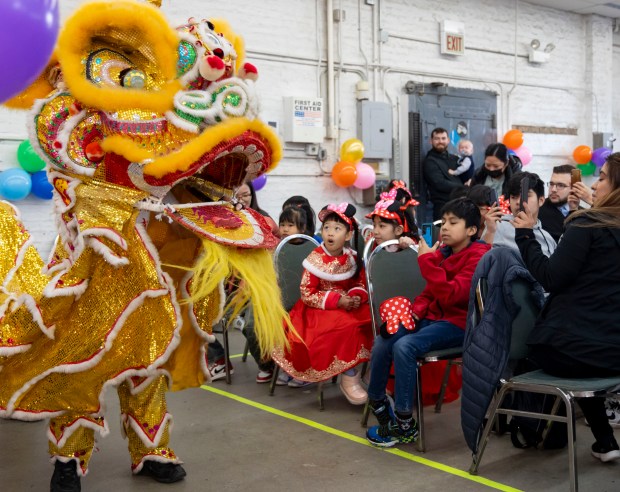 Guests watch the lion dance to celebrate the Lunar New Year at the Brighton Park Community Center on February 11, 2024.(Brian Cassella/Chicago Tribune)