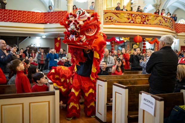 On February 11, 2024, at St. Petersburg in Chinatown.  At Therese Chinese Catholic Church, a lion dance is performed in the aisles during mass to celebrate the Lunar New Year.  The Year of the Dragon began on Saturday.  (Brian Cassella/Chicago Tribune)