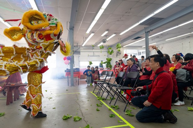 Guests watch the lion dance to celebrate the Lunar New Year at Brighton Park Community Center on February 11, 2024.  The Year of the Dragon began on Saturday.  (Brian Cassella/Chicago Tribune)