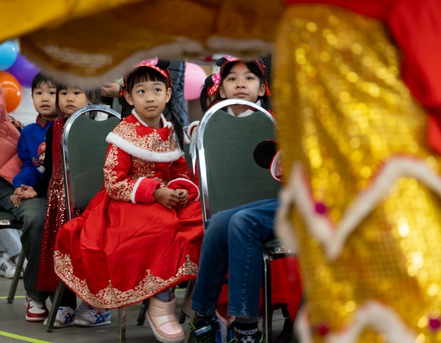 Children watch the lion dance to celebrate the Lunar New Year at the Brighton Park Community Center on February 11, 2024.(Brian Cassella/Chicago Tribune)